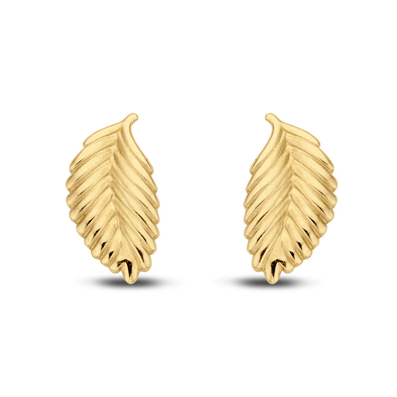 Ohrstecker Feder Gold 585/000 - MeinSchmuckShop