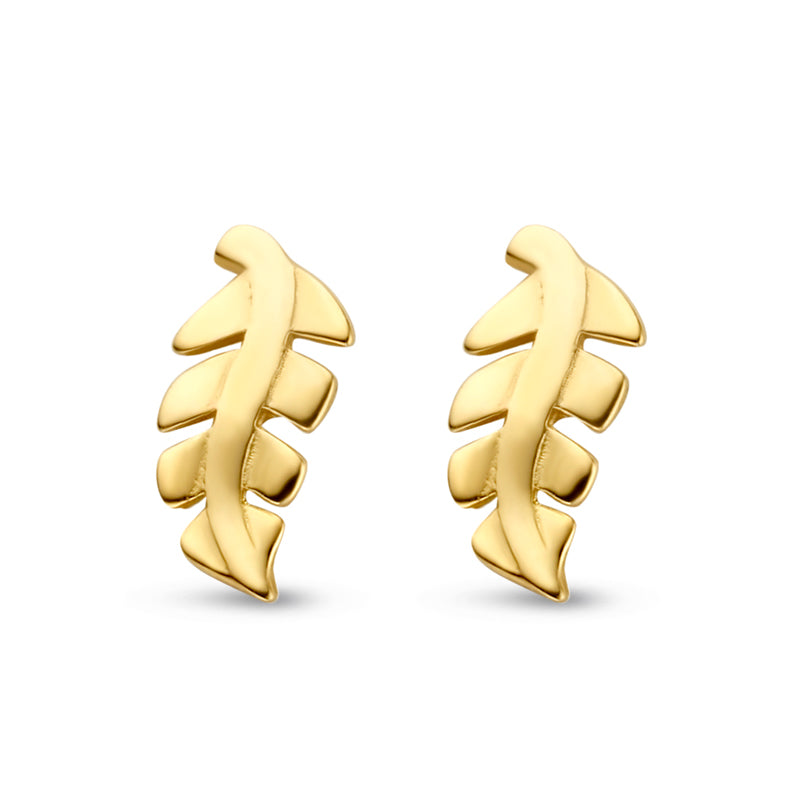 Ohrstecker Blatt Gold 585/000 - MeinSchmuckShop
