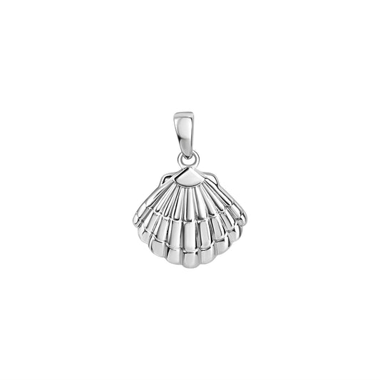 925/- Sterling Silber rhodiniert Muschel