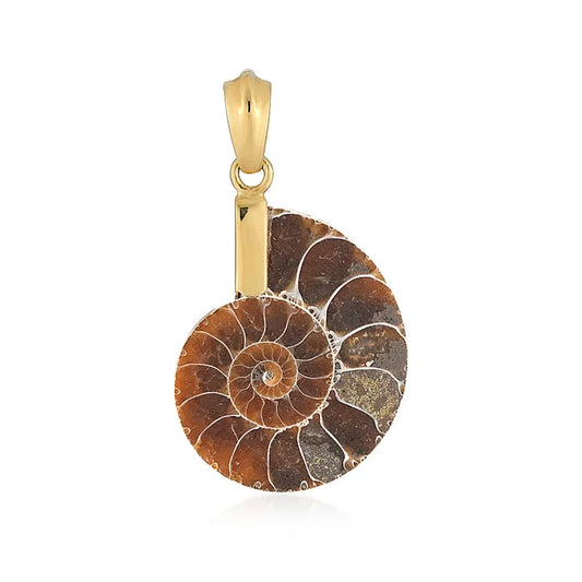 Anhänger Ammonit (26 x 21mm), 3,5cm, vergoldet - MeinSchmuckShop