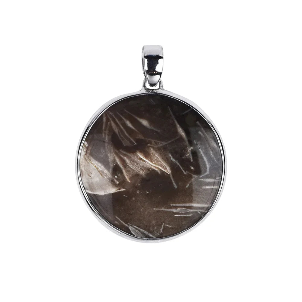 Anhänger Prärie-Achat (Pflanzenfossil), 4,0cm, rhodiniert - MeinSchmuckShop