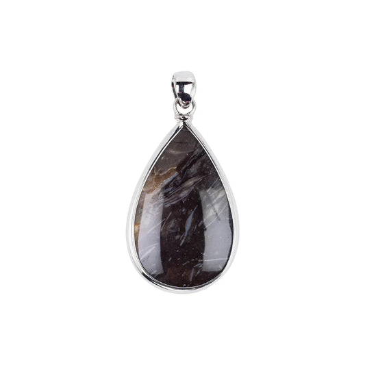 Anhänger Prärie-Achat (Pflanzenfossil) Tropfen (40 x 25mm), 5,2cm, platiniert - MeinSchmuckShop