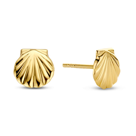 Ohrstecker Muschel Gold 585/000