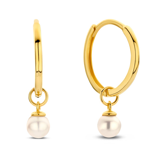 Klappcreolen 12/1.1mm mit Süßwasser-Zuchtperle 3-3,5mm Gold 585/000 - MeinSchmuckShop